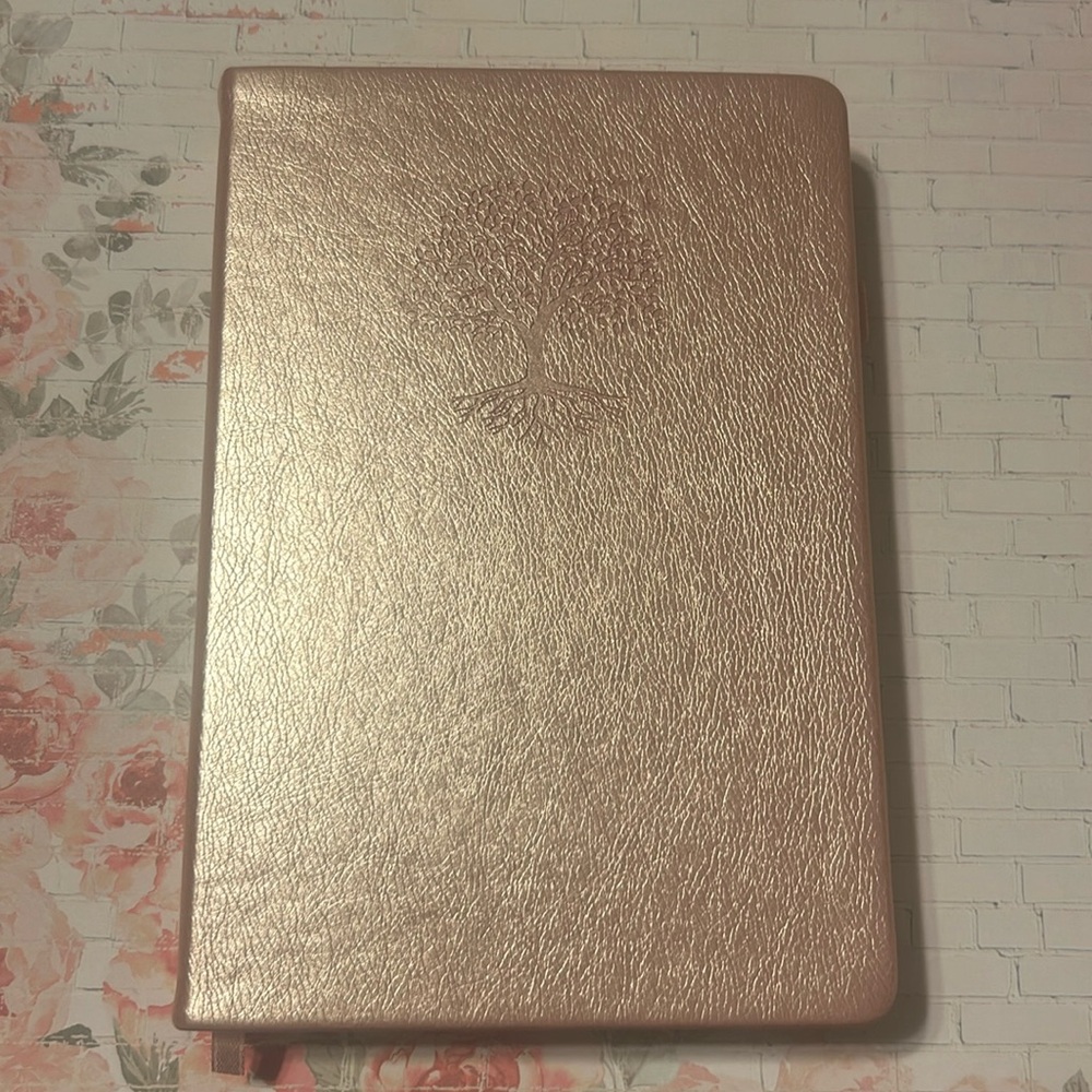 Pink 360 page Bullet/dot  Journal